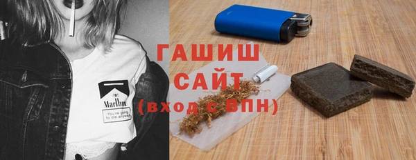стаф Тайга