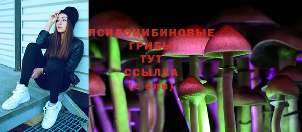 сатива Балабаново
