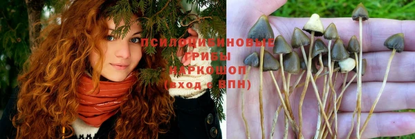 сатива Балабаново
