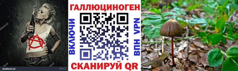 купить закладку KRAKEN онион Галлюциногенные грибы прущие грибы Вольск