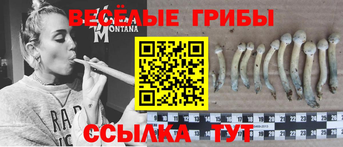 Галлюциногенные грибы GOLDEN TEACHER  Вход с VPN  Псилоцибиновые грибы GOLDEN TEACHER  Вольск 